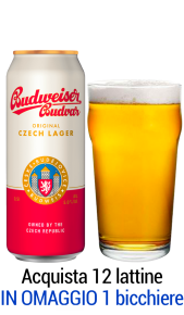 Birra Bud Czech online