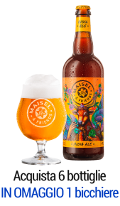 Birra Maisel & Friends Stefan's Indian Ale online