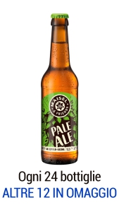 Birra Maisel & Friends Pale Ale 0,33 l in vendita online